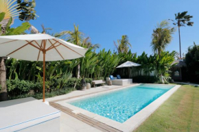 Amazing 3 Bedrooms Villa Canggu